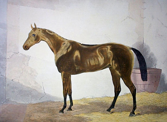 St Leger Winners: St Leger Winner 1867: Achievement